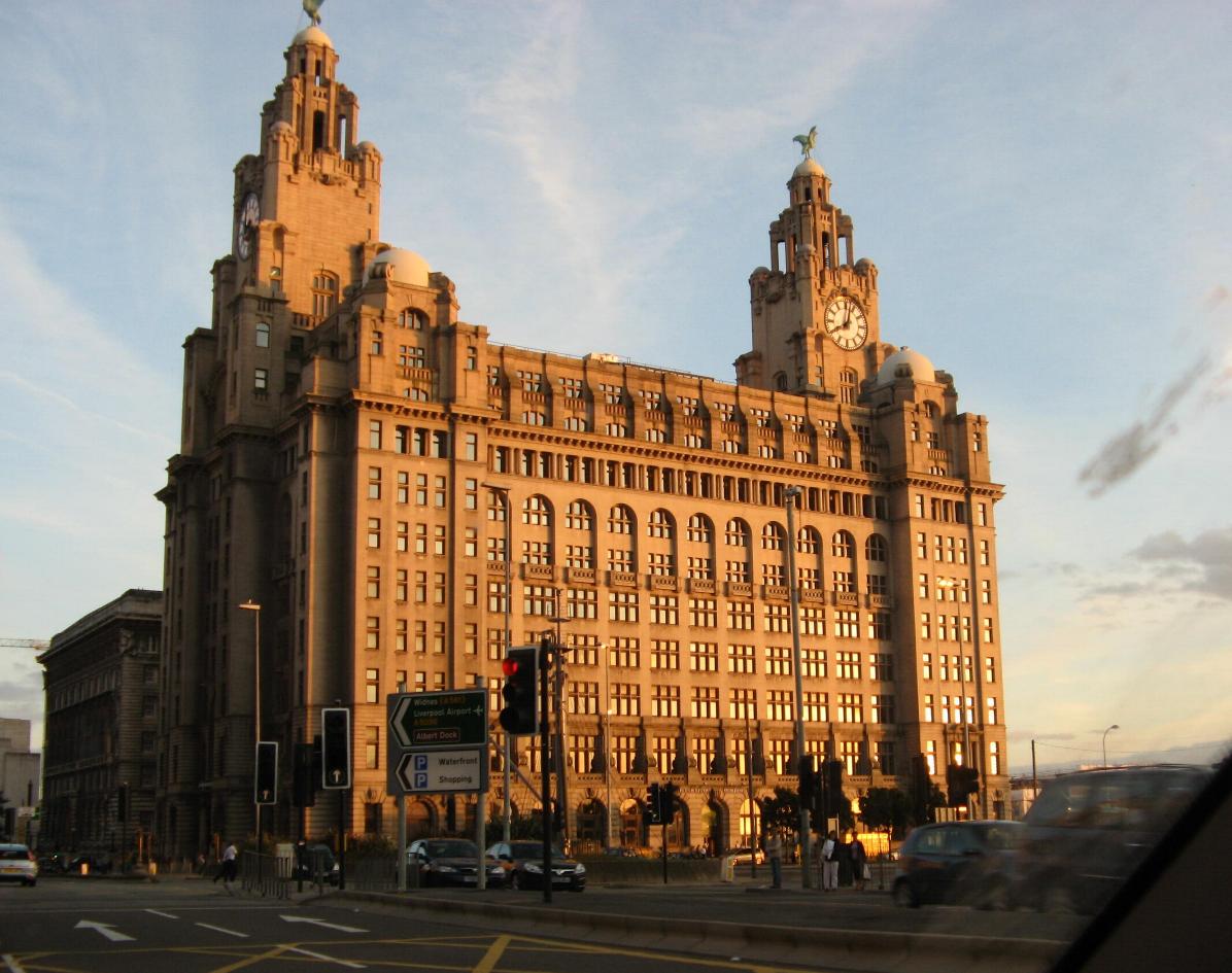 Liver building